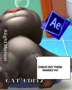 SHAKE PACK