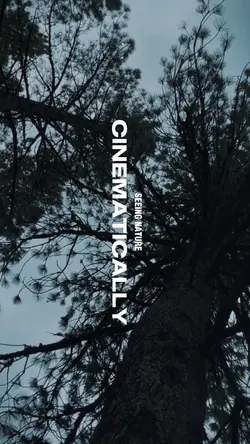 Cinematic Landscape 