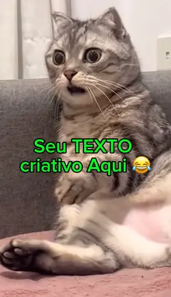 Modelo meme gato