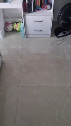 Just a fox