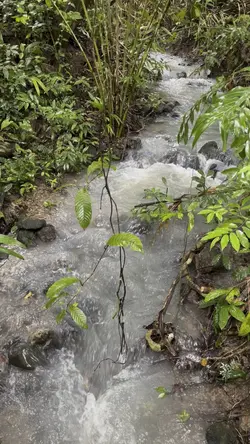 Peaceful moment