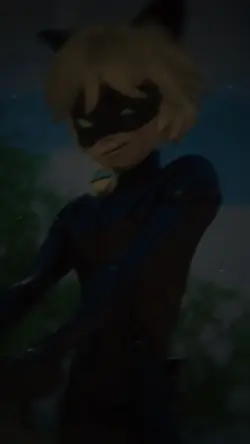 Cat noir 