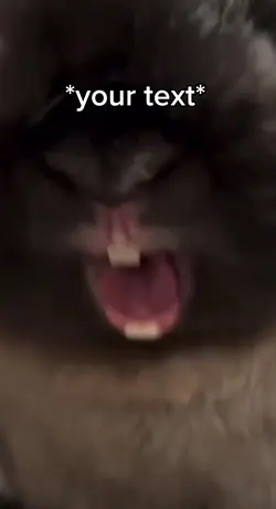 Evil bunny 