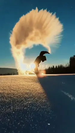 Movie slow motion