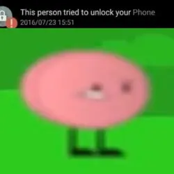 PPT2 