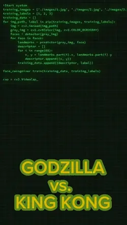 GODZILLA v KING KONG