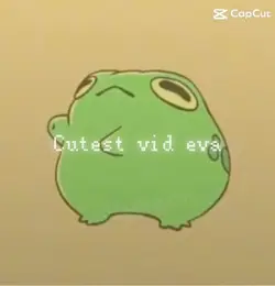Cute frog