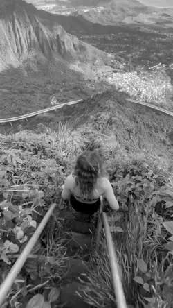 Black to yellow