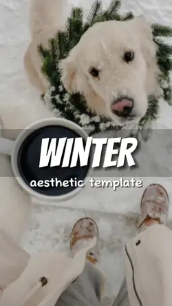 Winter Love