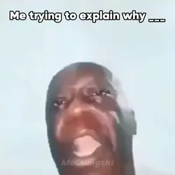 Explaining Meme