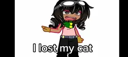 Me in Z-land