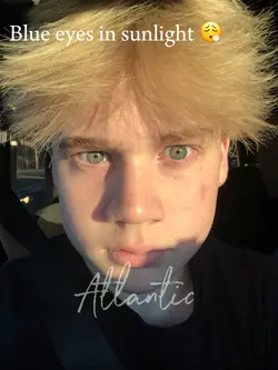 Blue eyes in the sun