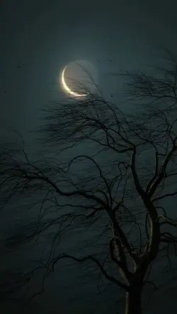 Lua Tipografia 