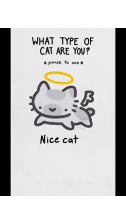 What cat are you?