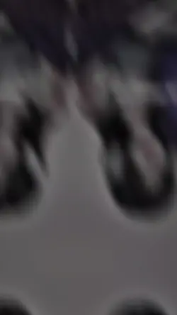 𝒑𝒍𝒂𝒏𝒕𝒊𝒍𝒍𝒂 