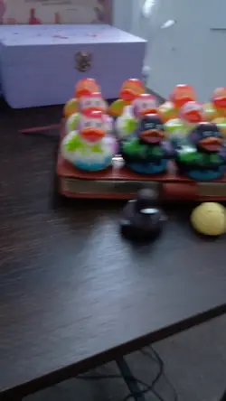 I 'bought' ducks