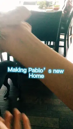 Making Pablo’s home