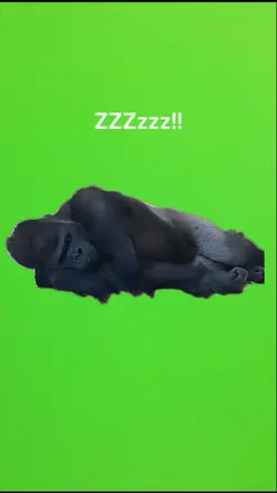 good night