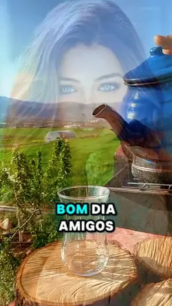 Bom dia Amigos 