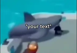 Shark