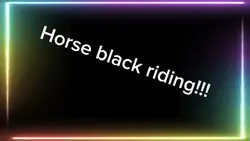Horse black riding