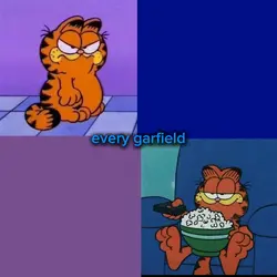 every Garfield needs