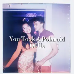 You Took A Polaroid
