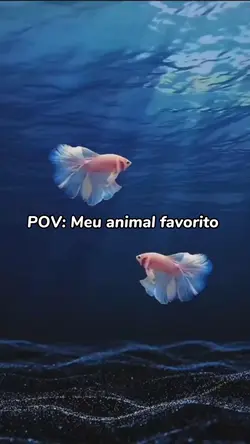 Meu animal favorito