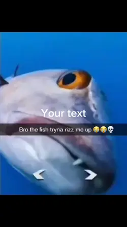 Fish rizz