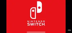 Nintendo