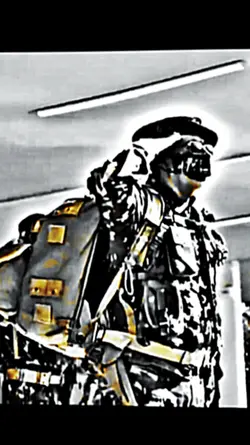 exército brasileiro