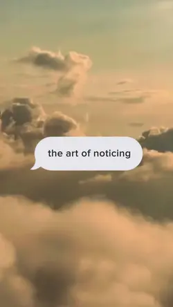 The art of noticing