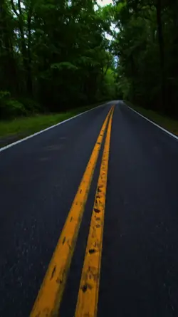 transition 