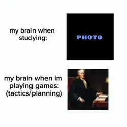 My brain: