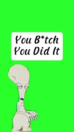 You B*tch You Did It