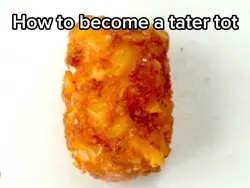 Tater tot