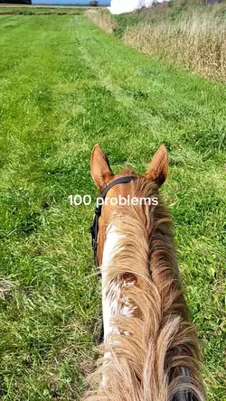 0 prblms when riding