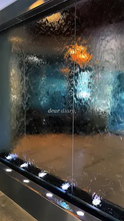 Dear Diary 
