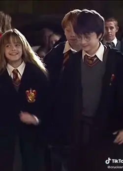 HarryPotter 😢