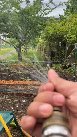 Watering the garden 