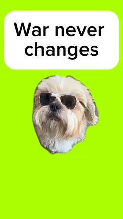 War never changes