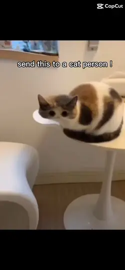 MEoW