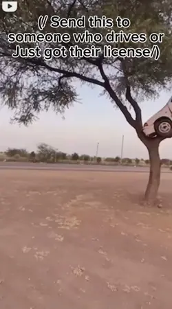 Car parking meme