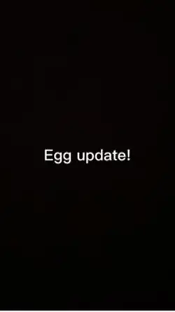 Eggo update