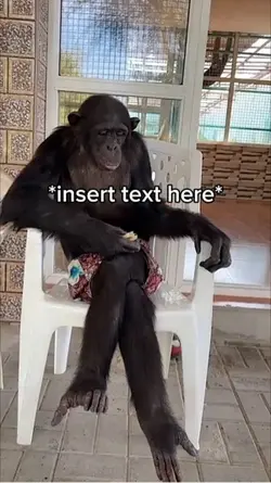 Monkey Eating 