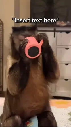 Monkey Drinks 