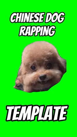 Chinese dog rapping 