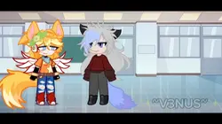 [✨] :] 