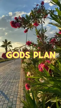 Gods Plan 
