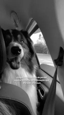 ninguém fala da dor.